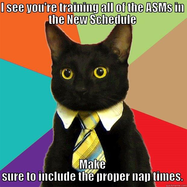 I SEE YOU'RE TRAINING ALL OF THE ASMS IN THE NEW SCHEDULE MAKE SURE TO INCLUDE THE PROPER NAP TIMES. Business Cat