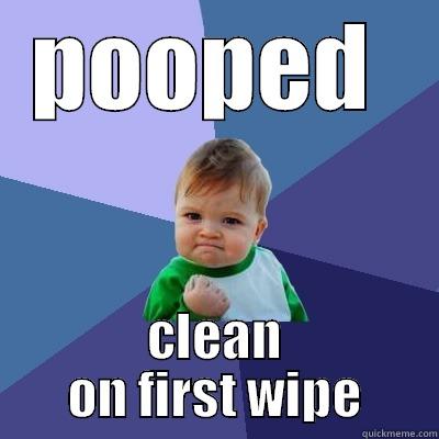 POOPED  CLEAN ON FIRST WIPE Success Kid