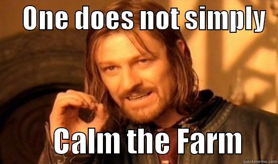     ONE DOES NOT SIMPLY             CALM THE FARM      Boromir