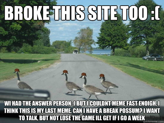 broke this site too :( wi had the answer person :( but i couldnt meme fast enoigh, i think this is my last meme, can i have a break possum? i want to talk, but not lose the game ill get if i go a week  Scumbag Geese