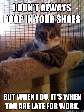 I don't always poop in your shoes but when I do, It's when you are late for work.  The Most Interesting Cat in the World