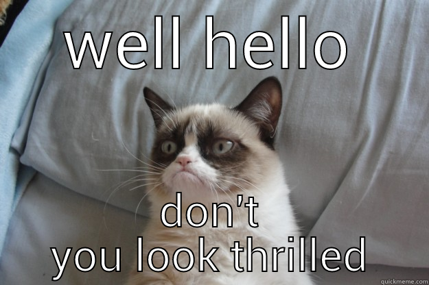 WELL HELLO DON'T YOU LOOK THRILLED Grumpy Cat