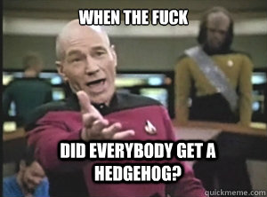 when the fuck did everybody get a hedgehog?  Annoyed Picard