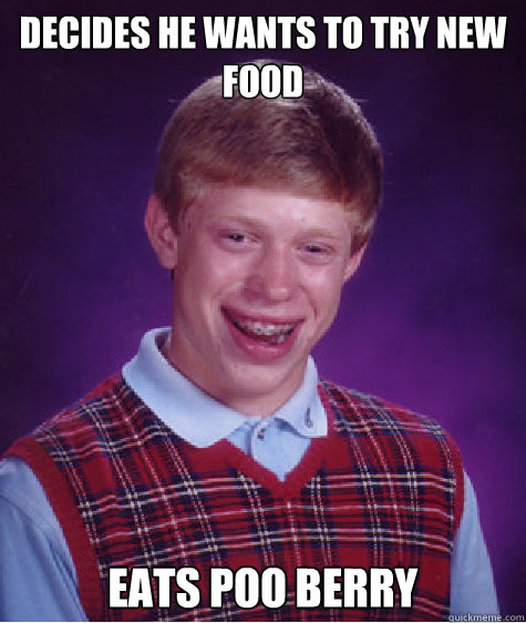 decides he wants to try new food eats poo berry  Bad Luck Brian