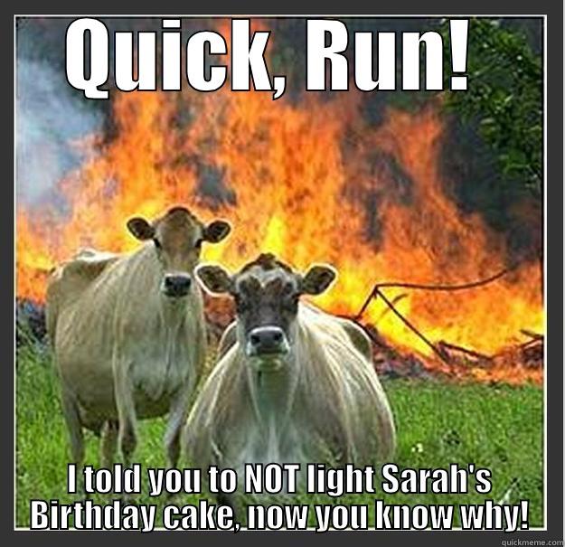 Sarah's Birthday Inferno - QUICK, RUN!  I TOLD YOU TO NOT LIGHT SARAH'S BIRTHDAY CAKE, NOW YOU KNOW WHY! Evil cows