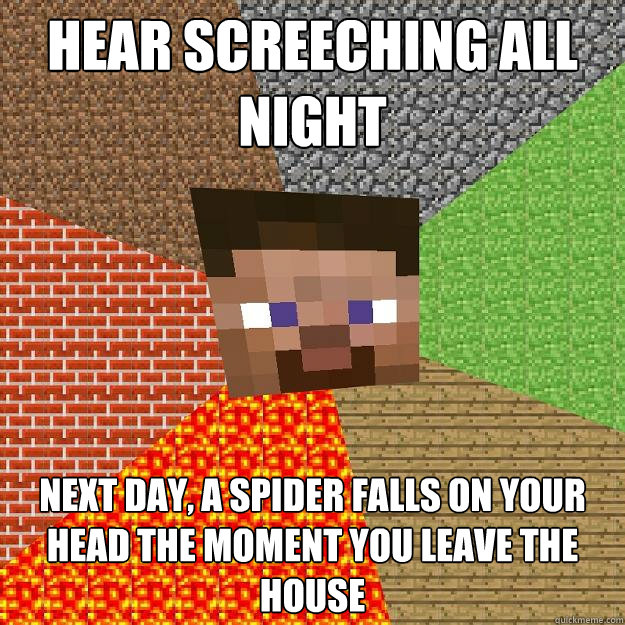 Hear screeching all night Next day, a spider falls on your head the moment you leave the house - Hear screeching all night Next day, a spider falls on your head the moment you leave the house  Minecraft