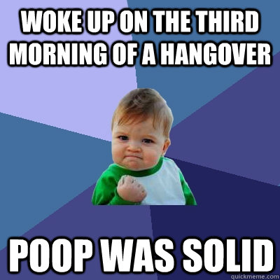 woke up on the third morning of a hangover poop was solid  Success Kid