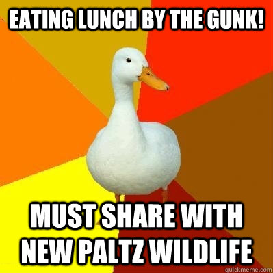 Eating lunch by the gunk! Must share with  New Paltz wildlife  Tech Impaired Duck