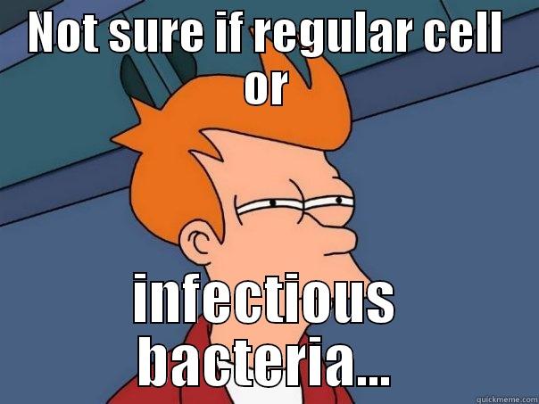 NOT SURE IF REGULAR CELL OR INFECTIOUS BACTERIA... Futurama Fry