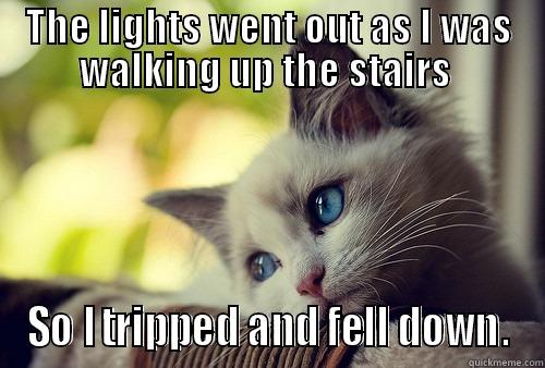 Bad morning start. - THE LIGHTS WENT OUT AS I WAS WALKING UP THE STAIRS  SO I TRIPPED AND FELL DOWN. First World Problems Cat