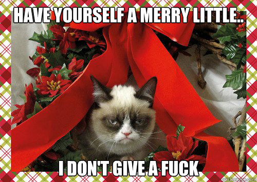 have yourself a merry little.. i don't give a fuck  A Grumpy Cat Christmas