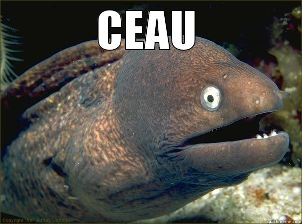 say hi to him  - CEAU   Bad Joke Eel