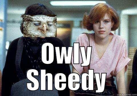 Owly Sheedy -  OWLY SHEEDY Misc