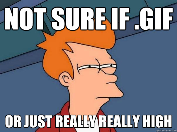 not sure if .gif Or just really really high  Futurama Fry