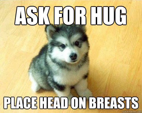 ask for hug place head on breasts  Baby Courage Wolf