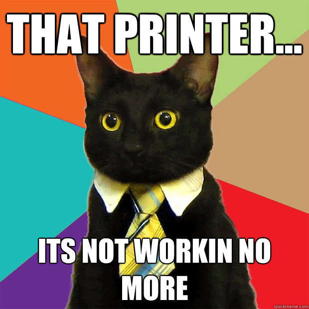 That printer... its not workin no more  Business Cat