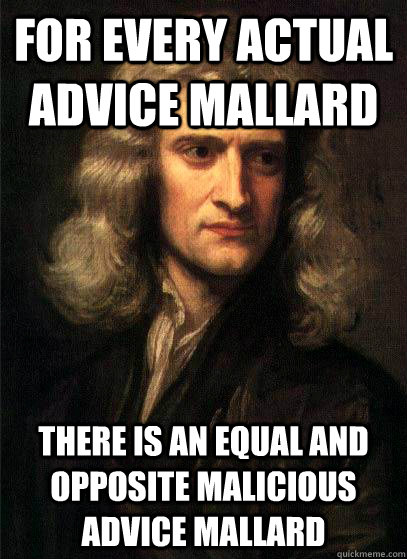 For every actual advice mallard there is an equal and opposite malicious advice mallard  Sir Isaac Newton