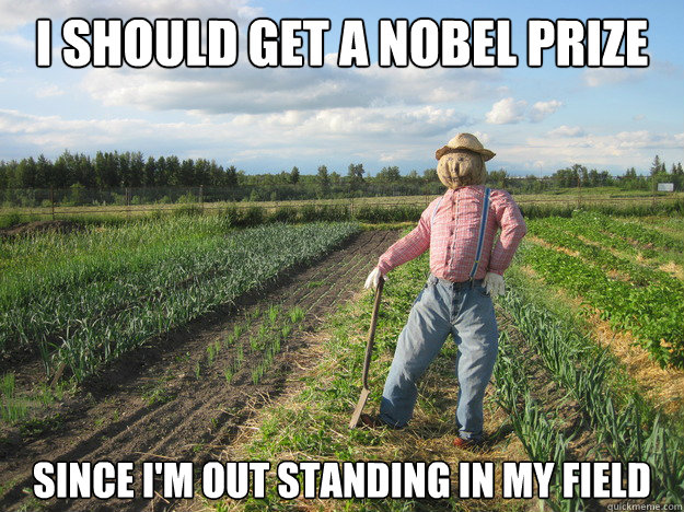 I should get a Nobel Prize since I'm out standing in my field  Scarecrow