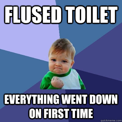 flused toilet Everything went down on first time  Success Kid