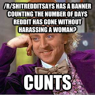 /r/shitredditsays has a banner counting the number of days Reddit has gone without harassing a woman? Cunts  Condescending Wonka