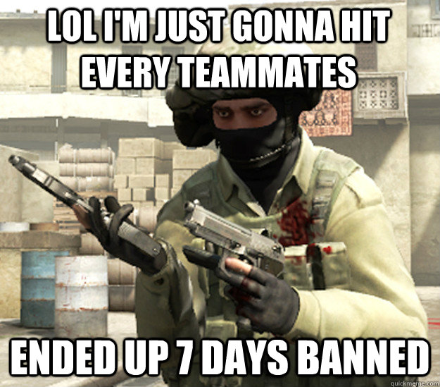 lol i'm just gonna hit every teammates ended up 7 days banned  