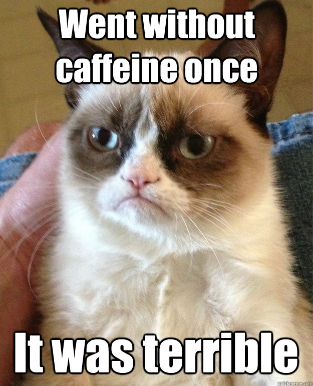 Went without caffeine once It was terrible  Grumpy Cat