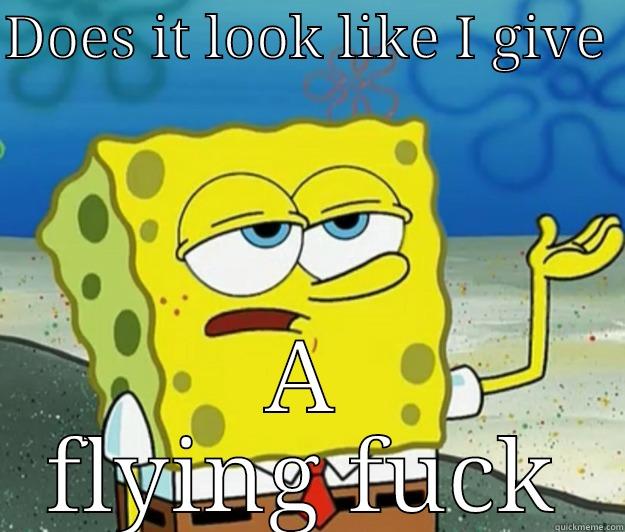 DOES IT LOOK LIKE I GIVE  A FLYING FUCK Tough Spongebob