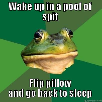 WAKE UP IN A POOL OF SPIT FLIP PILLOW AND GO BACK TO SLEEP Foul Bachelor Frog