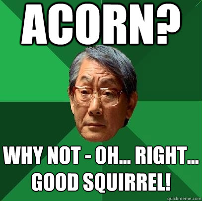 acorn? why not - oh... right... good squirrel! - acorn? why not - oh... right... good squirrel!  High Expectations Asian Father