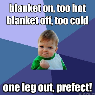 blanket on, too hot
blanket off, too cold one leg out, prefect! - blanket on, too hot
blanket off, too cold one leg out, prefect!  Success Kid