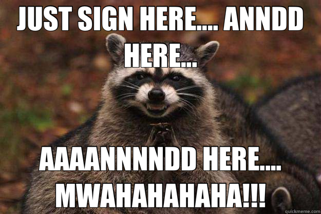 JUST SIGN HERE.... ANNDD HERE... AAAANNNNDD HERE.... MWAHAHAHAHA!!! - JUST SIGN HERE.... ANNDD HERE... AAAANNNNDD HERE.... MWAHAHAHAHA!!!  Evil Plotting Raccoon