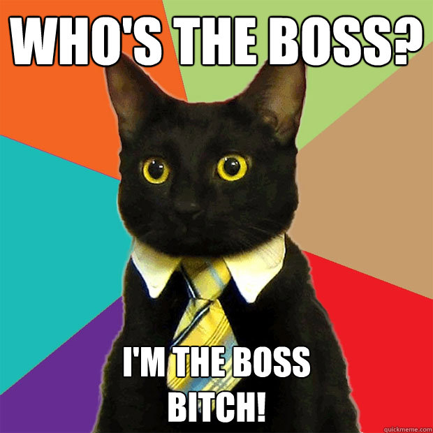 Who's the boss? I'm the boss 
bitch!   Business Cat