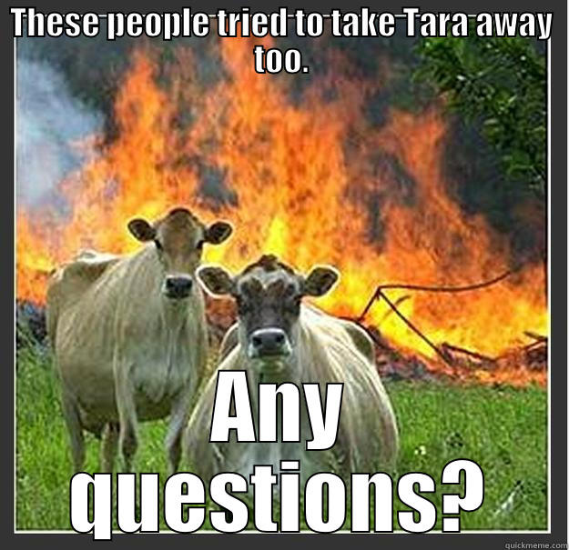 Revenge on idiots - THESE PEOPLE TRIED TO TAKE TARA AWAY TOO. ANY QUESTIONS? Evil cows