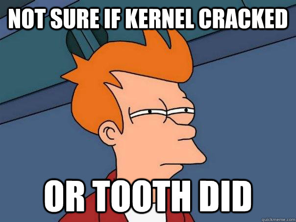 Not sure if kernel cracked Or tooth did  Futurama Fry