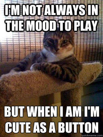 I'm not always in the mood to play but when I am I'm cute as a button
  The Most Interesting Cat in the World