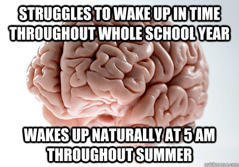 struggles to wake up in time throughout whole school year Wakes up naturally at 5 am throughout summer  Scumbag Brain