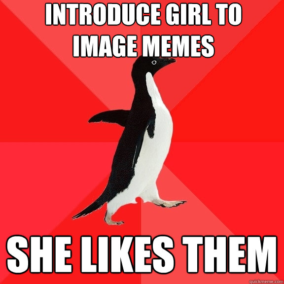 introduce girl to
image memes she likes them  Socially Awesome Penguin