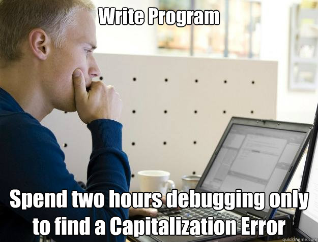 Write Program Spend two hours debugging only to find a Capitalization Error  Programmer