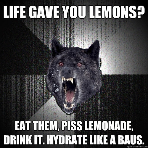 Life gave you lemons? Eat them, piss lemonade, drink it. Hydrate like a baus.  Insanity Wolf