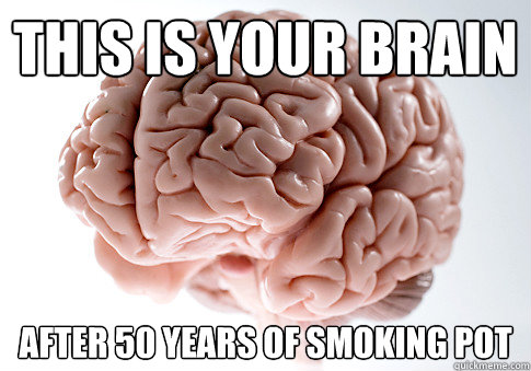 this is your brain after 50 years of smoking POT  Scumbag Brain