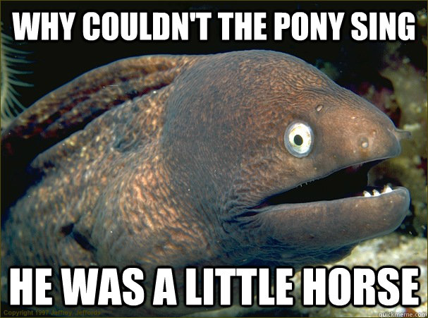 why couldn't the pony sing he was a little horse - why couldn't the pony sing he was a little horse  Bad Joke Eel