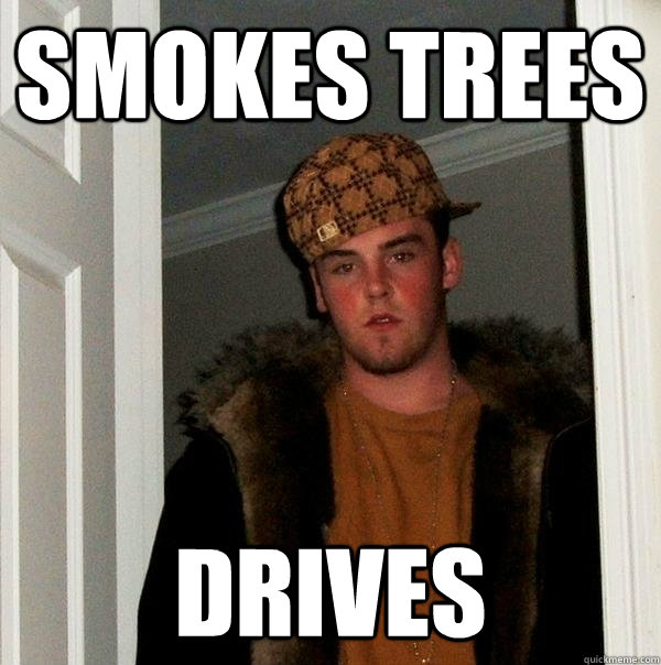 smokes trees drives  Scumbag Steve