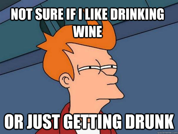 Not sure if I like drinking wine or just getting drunk - Not sure if I like drinking wine or just getting drunk  Futurama Fry