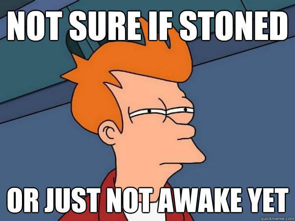 not sure if stoned Or just not awake yet  Futurama Fry