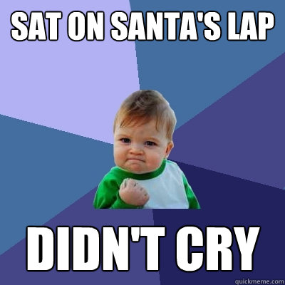 SAT ON SANTA'S LAP DIDN'T CRY - SAT ON SANTA'S LAP DIDN'T CRY  Success Kid