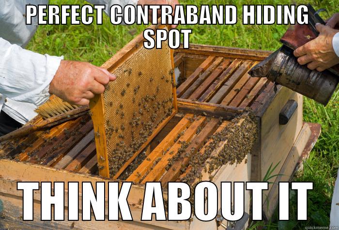 PERFECT CONTRABAND HIDING SPOT THINK ABOUT IT Misc