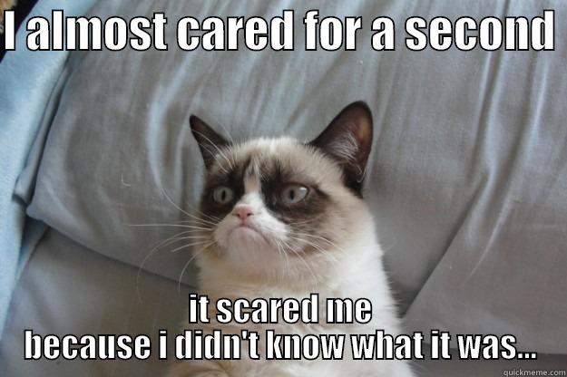 Grumpy Cat Scare! - I ALMOST CARED FOR A SECOND  IT SCARED ME BECAUSE I DIDN'T KNOW WHAT IT WAS... Grumpy Cat