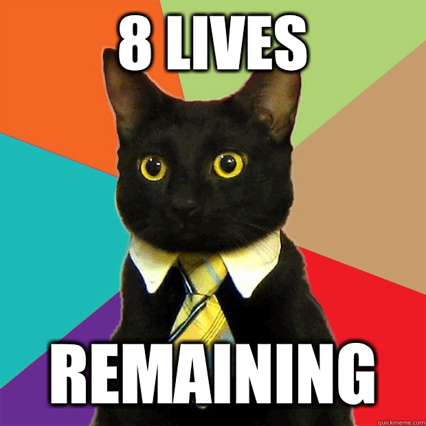 8 lives Remaining  Business Cat