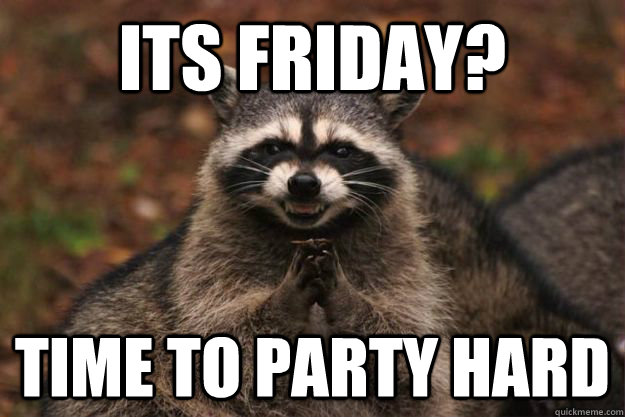 Its friday? time to party hard  Evil Plotting Raccoon