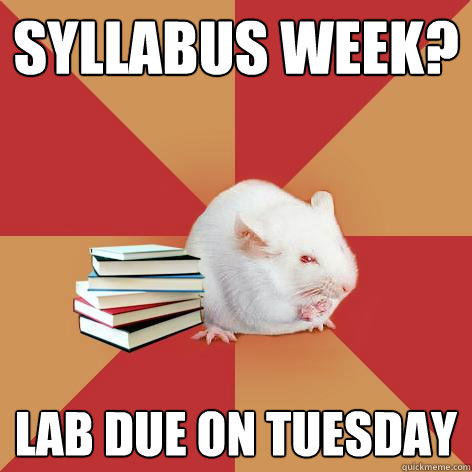 Syllabus Week? Lab Due on Tuesday - Syllabus Week? Lab Due on Tuesday  Science Major Mouse